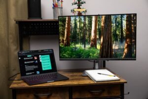 268466 5K monitor v Apple display JHiggins 0012 mdVS05
