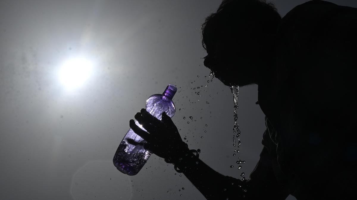 India among top countries with highest heatwave exposure for infants, older adults: Report 1 NGP1826 gCudK9